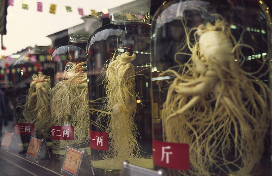Ginseng roots in Hangzhou.jpg